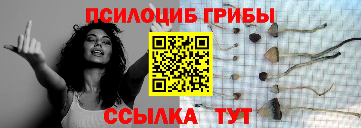 Псилоцибиновые грибы ЛСД Медногорск