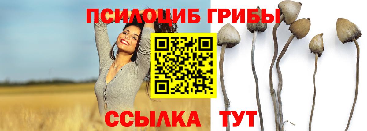 Галлюциногенные грибы Magic Shrooms  Вход с VPN  Галлюциногенные грибы ЛСД  Медногорск 